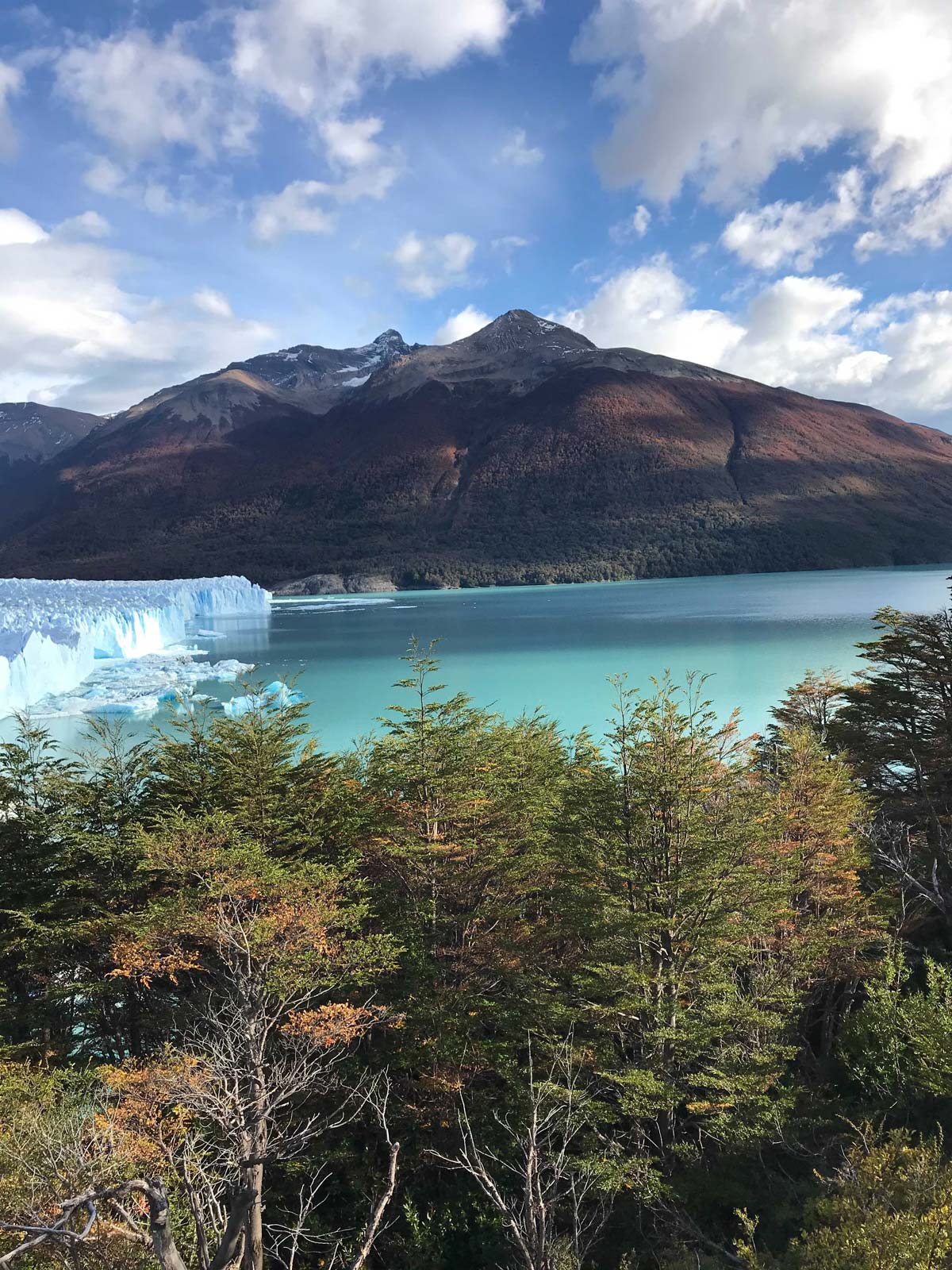 View of the Perito Moreno Glacier and Lago Argentino