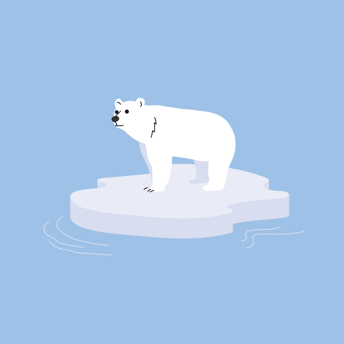 a polar bear