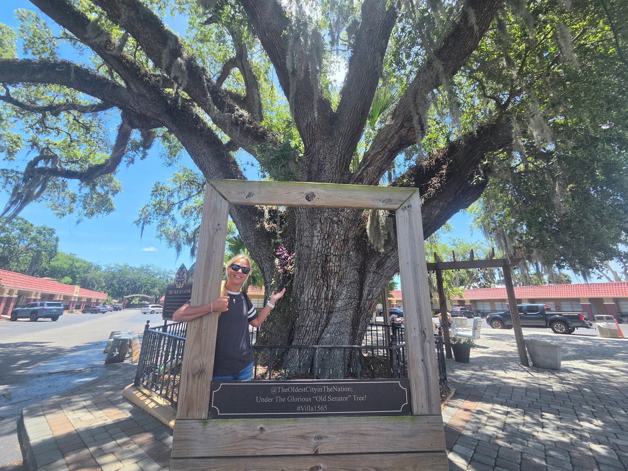 Old Senator in St. Augustine