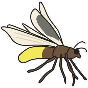 Media Gallery - Flashcards - Animals & Wildlife – Ellii (formerly ESL ...