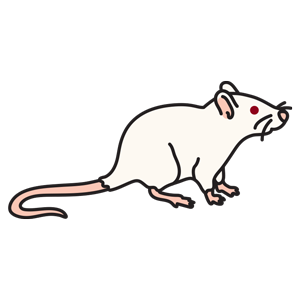 Media Gallery – Ellii (formerly ESL Library)