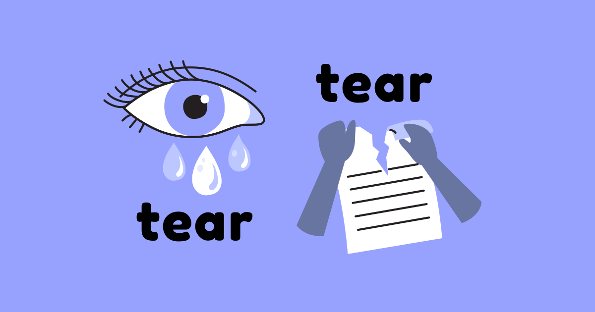 Blog Banner Image