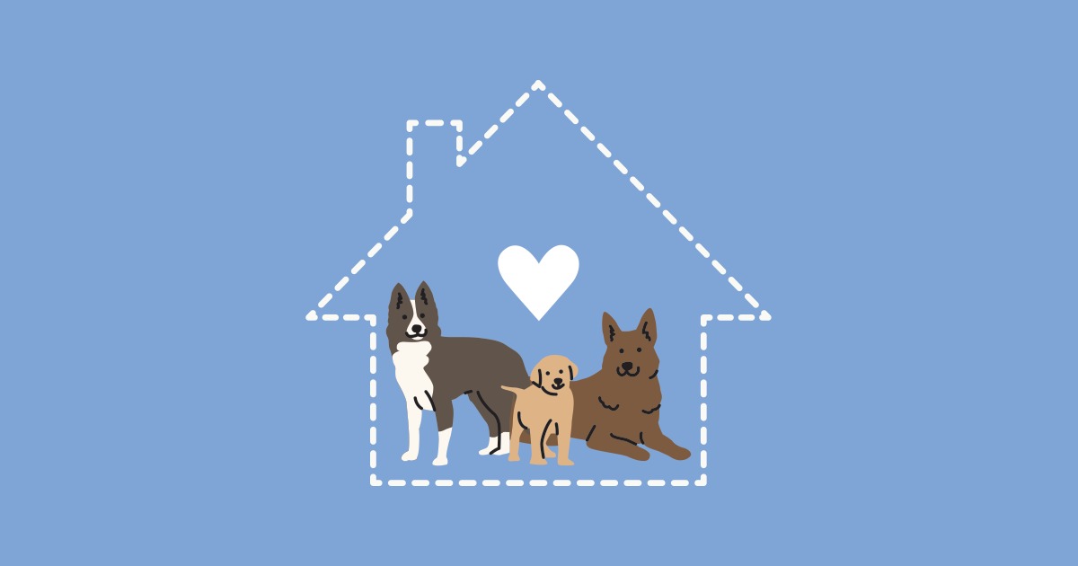 A Warm Response For Shelter Dogs That s News To Me Ellii formerly A Warm Response For Shelter Dogs That s News To Me Ellii formerly